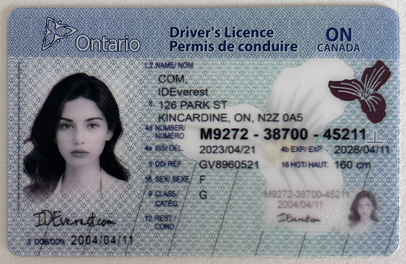 Ontario Fake ID Card